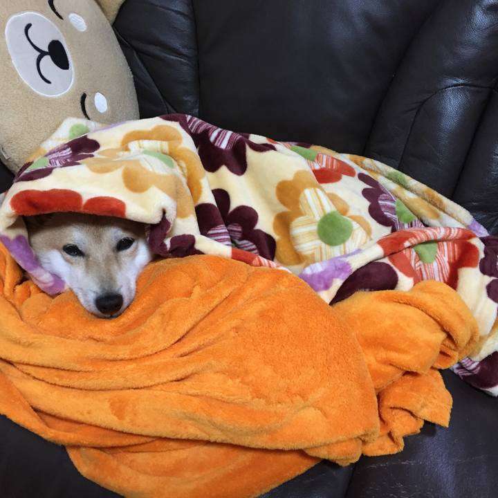 F0ef48dc 8aa8 40ae a307 7074b51bd2e7