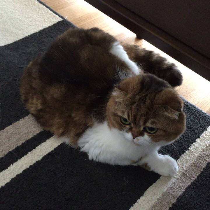 F0f00947 d82f 46ea ab7d 75d95580266a