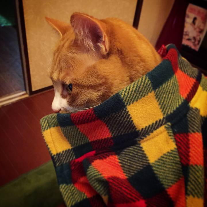 F0f00e28 e43d 4a64 95b9 9776a6f9a296