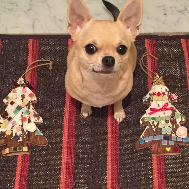 F0f194c0 4e62 4e79 a9c2 8f55f40bc335