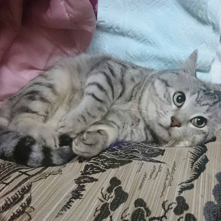 F0f19778 60bf 4e8f 80fb afc4334ab1c3