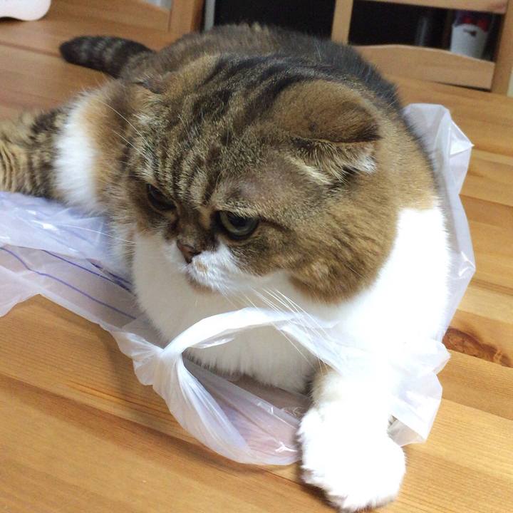 F0f1cecb 1f07 4ffa 9d78 f35fd797b3ef