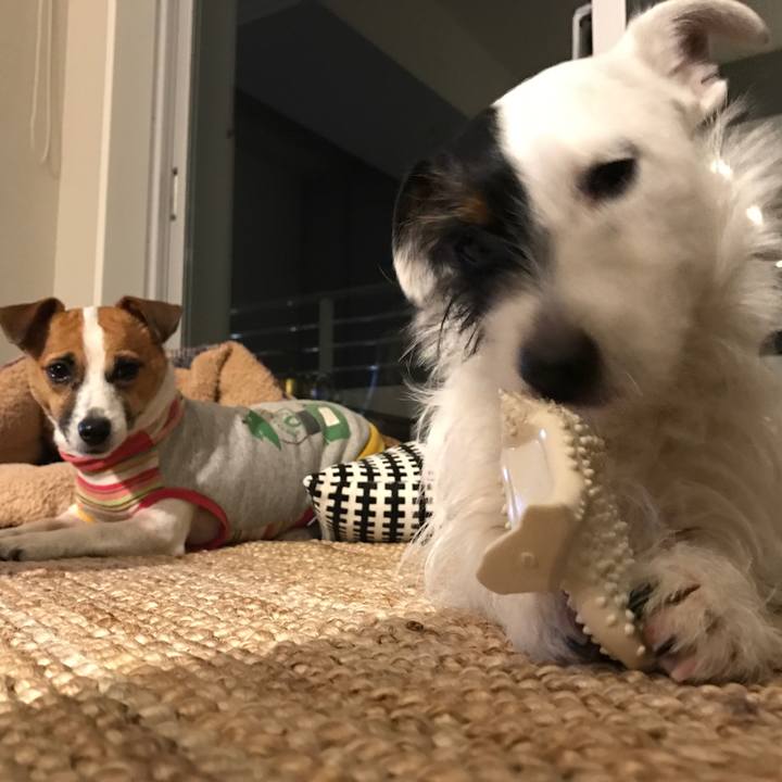 F0f2c1fc 1fd6 4dc6 b917 b41d035bed20