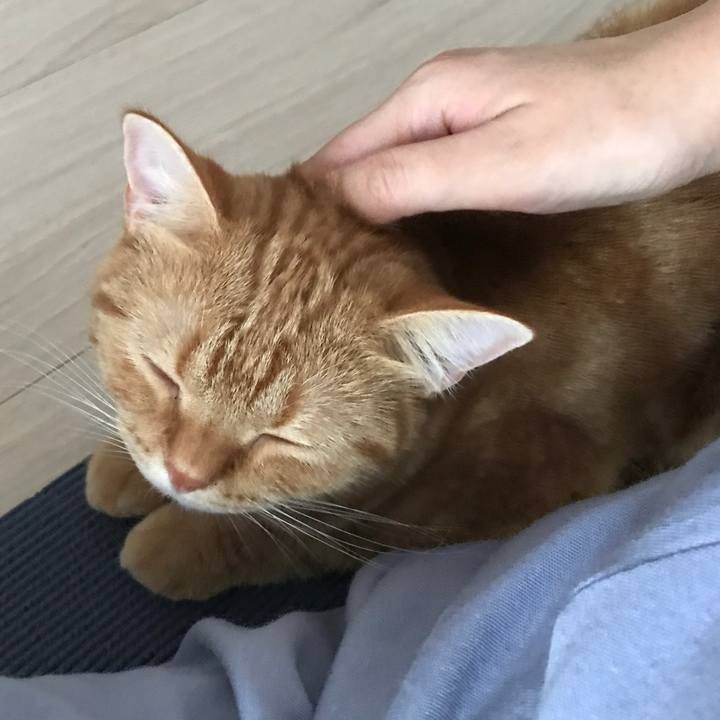 F0f2c85e a4d4 463b aca1 0d58ff842e19