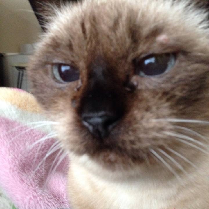 F0f2e992 f2cb 4b3d a8b8 58e5fa400e20