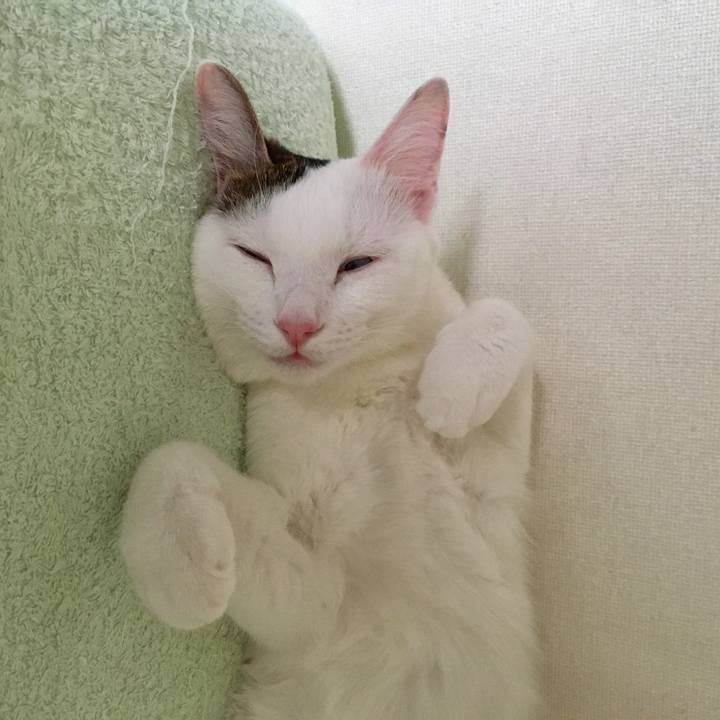 F0f3264f cd0e 4368 97e4 b9a0fa9f3007