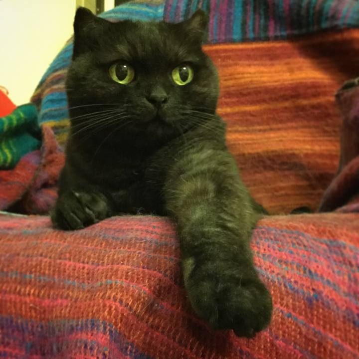 F0f35f72 0950 42ee a793 d82bde9440bb