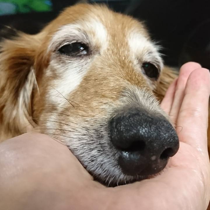 F0f3eaf3 366b 4170 9f8f fa7e3cddc582