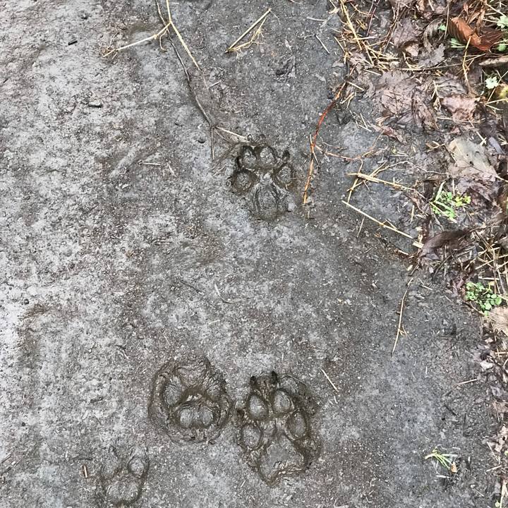 F0f431bb 66f6 4ffb 979c 7402c403d989