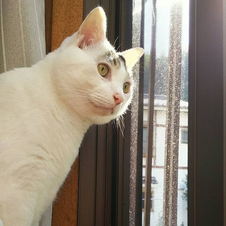 F0f45618 c4de 4703 aa60 a847a55f7edd