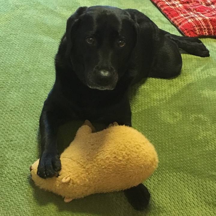 F0f53041 63e2 4d88 bf85 b59b413c6164