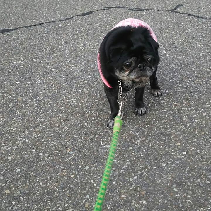 F0f555c6 590a 4850 bf10 ea507168c72b