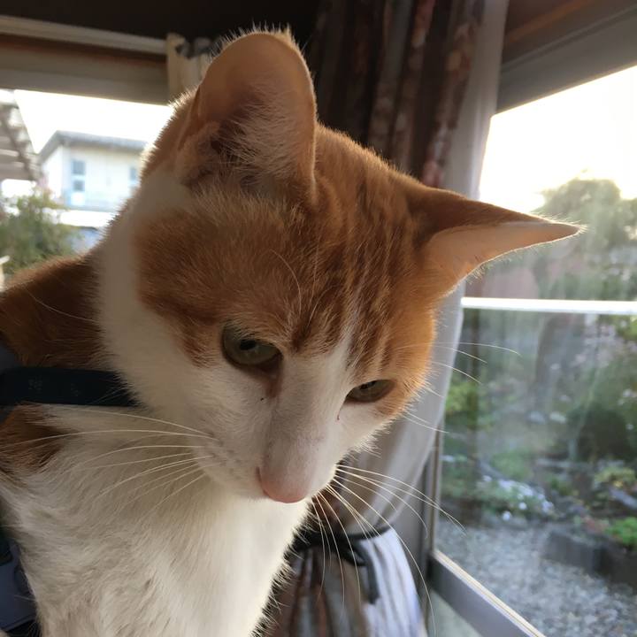 F0f6c369 e2ea 4ca5 a794 11c5bcc3ca16