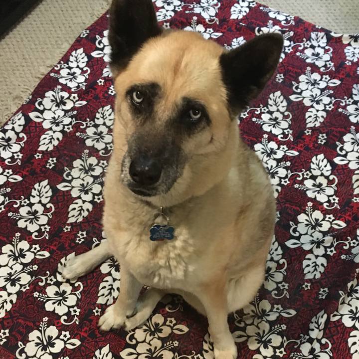 F0f6e30c 4421 43e7 b1e5 d1a9a1b8dd80