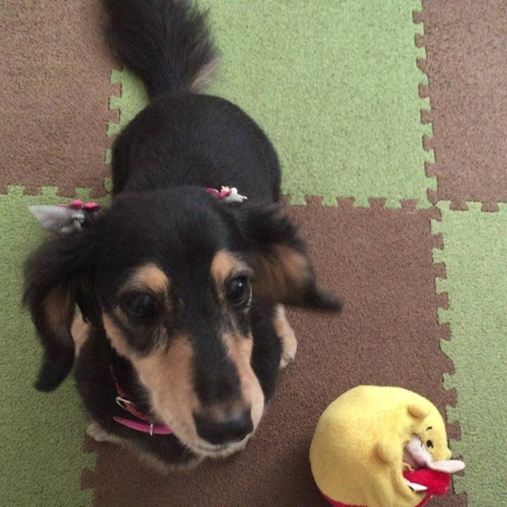 F0f9d2bf 7923 4b93 914d eb7847666db1