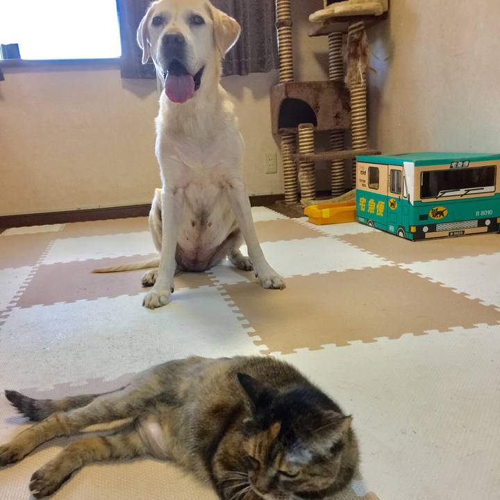 F0fac4ae 3962 45c7 b5b9 164ad7e9c999