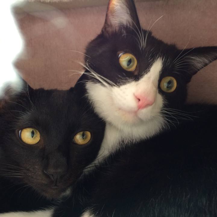 F0fb2179 ceaa 4f06 9ee2 c230d72ddfc0