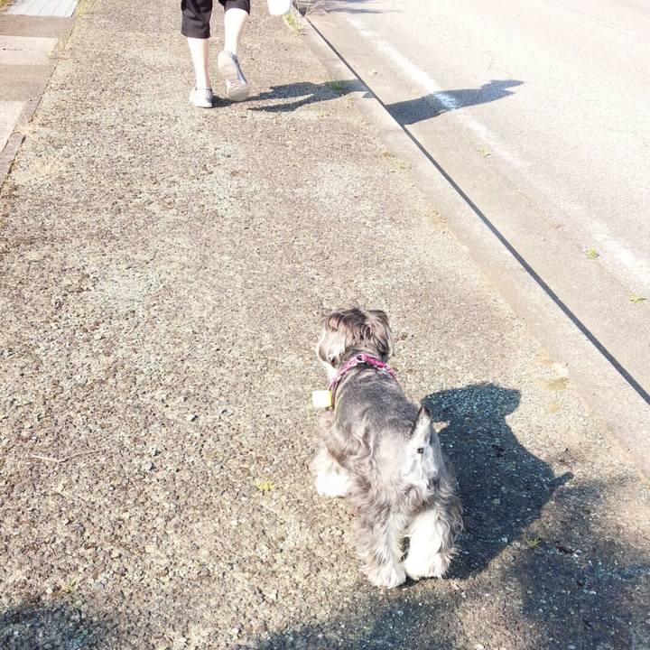 F0fbb262 0338 4caa 81ba 20ec4503f1f9