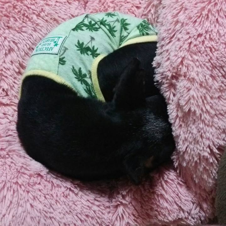 F0fbc554 af9d 4715 b171 c4caffd45fd9