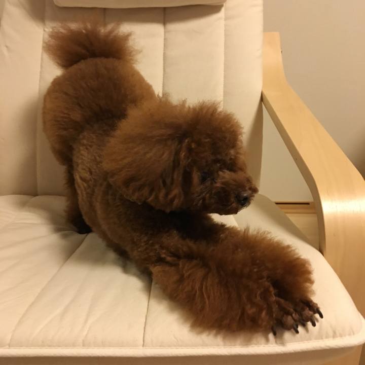 F0fbfe7d bea9 48ed 818d bef235db07e8