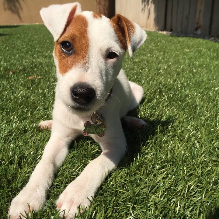 F0fc9f92 9881 454f b688 495421085ee7