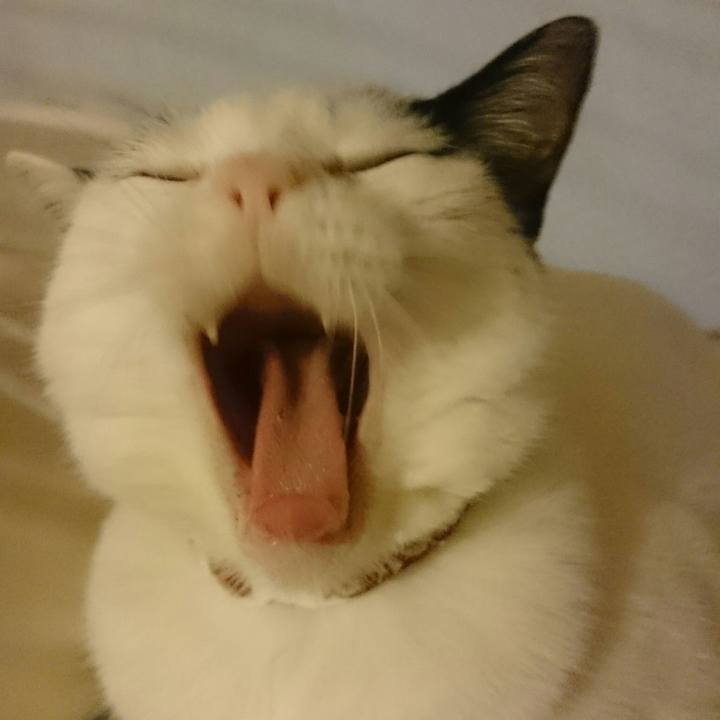 F0fd5b57 a072 4f05 b174 a56f13040d49