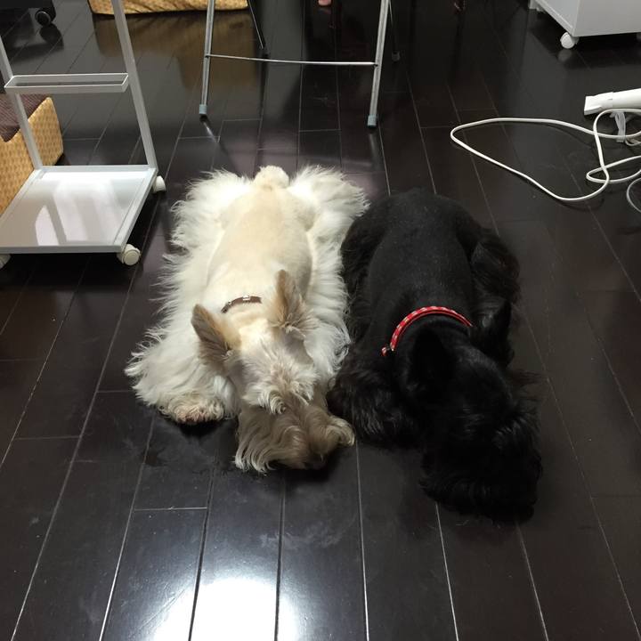 F0fd6be3 15b9 4a41 be1a 342a18242234