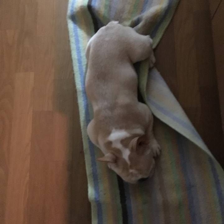 F0fd8ac3 2cec 4b32 8f96 805b55ba4120