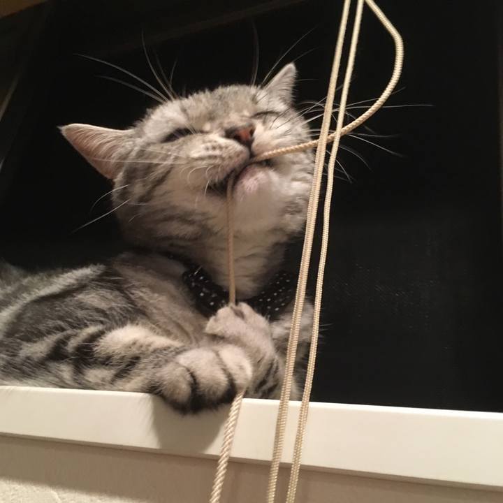 F0fdba91 667f 4f5e b795 91f23b4ebba8