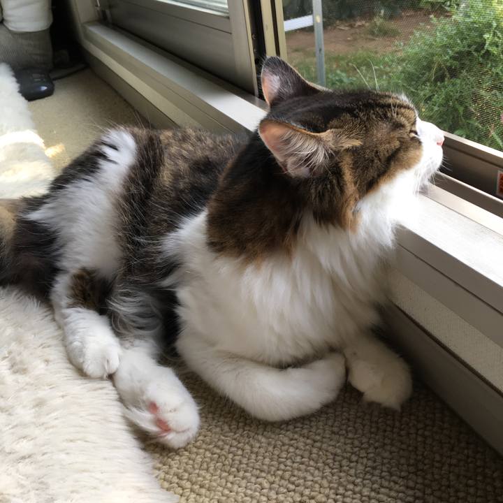 F0fe8559 fd49 4c84 9396 cefc2e14c10f