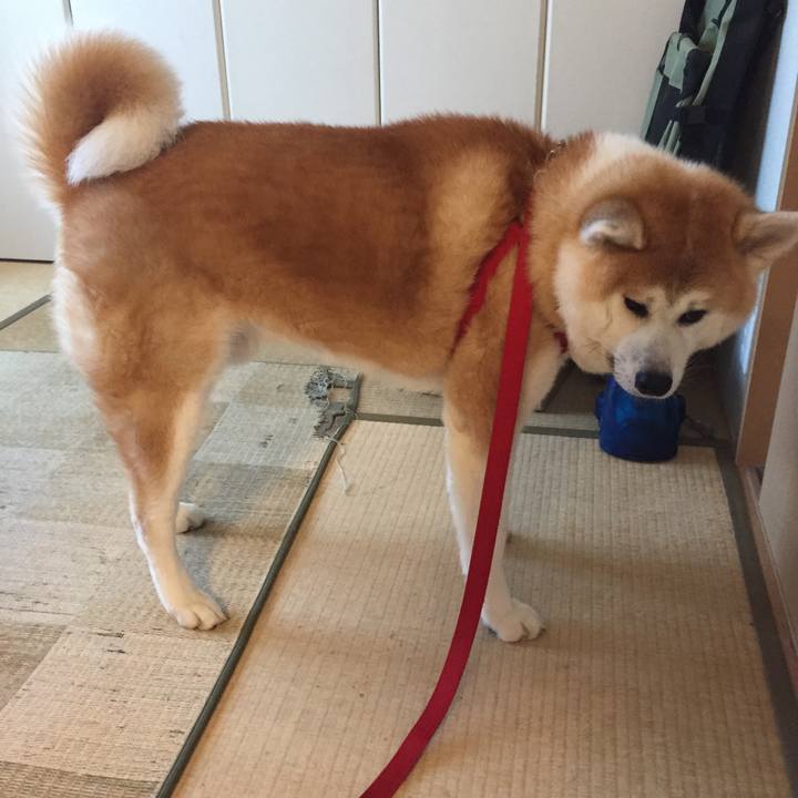 F0fec549 4a4e 4ba6 8f3d f2cba54ac288