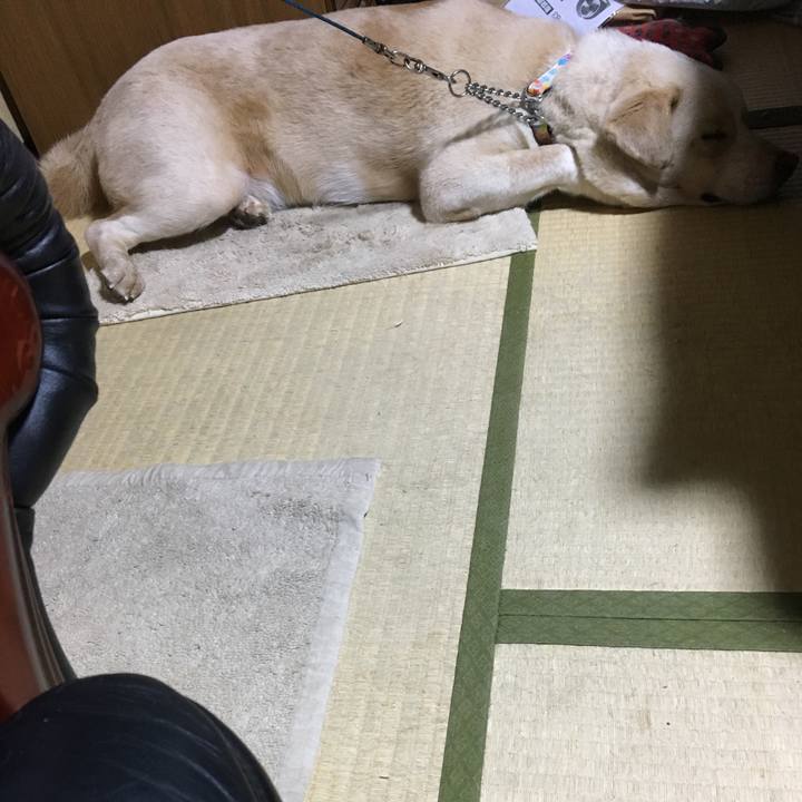 F0ff0b40 7a13 41b3 865e 394213608d6d