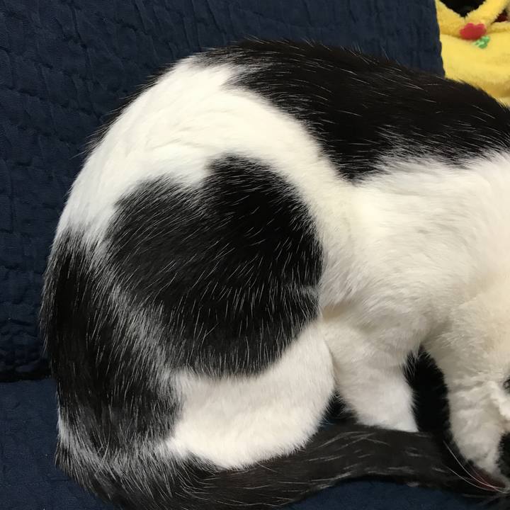 F10093ac abd5 4e08 8820 61399b325871