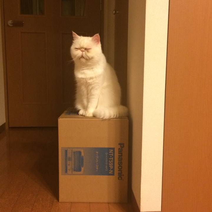 F100e775 3f07 4f35 87e5 48980a3c34cd