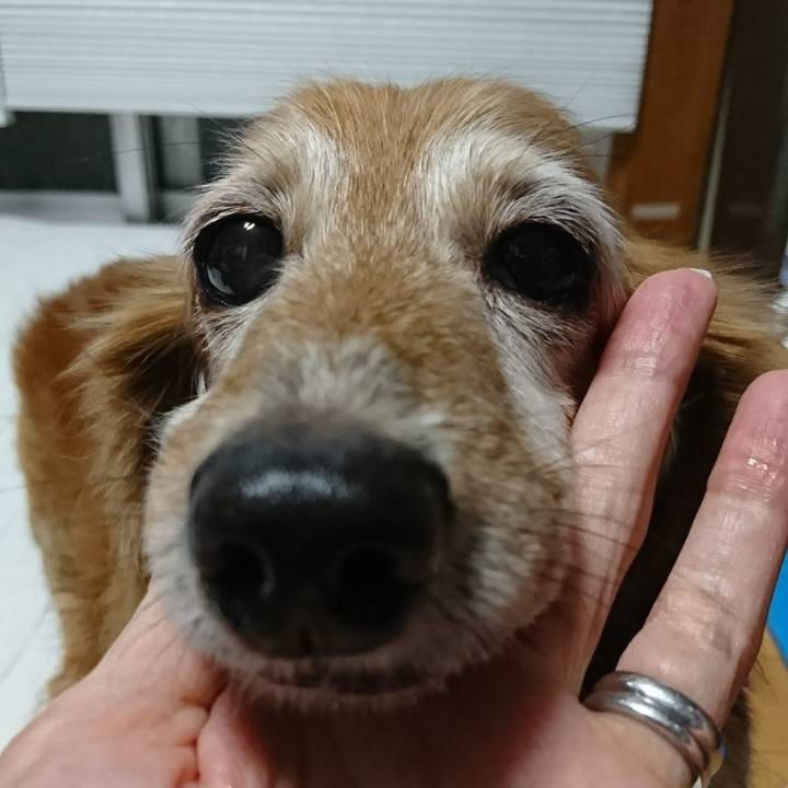 F1010cd7 4369 42c5 a4b2 d323448863d0