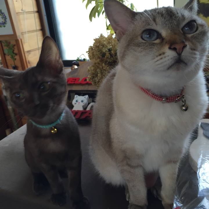 F1018a21 6ca3 46c5 af9a 9ffca5736211