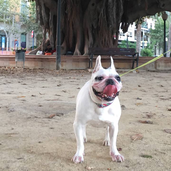 F101c71a 8a6f 4c74 b6a3 b75b079f3cd7