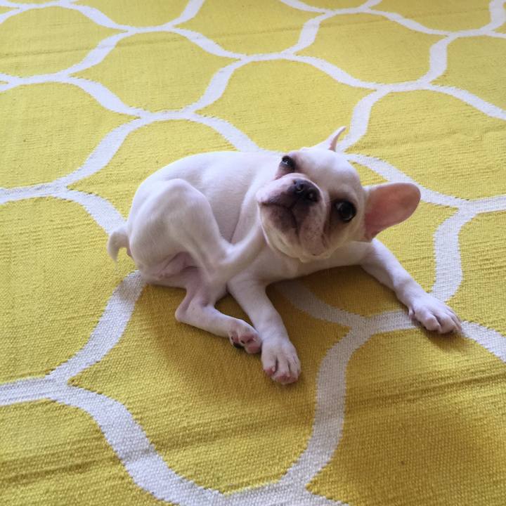 F10205c4 7a53 4b7f 8d60 8efc34395e4d