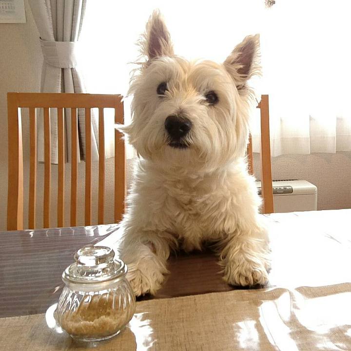 F1022639 4be5 4899 bbd5 f5cb90cc0c41