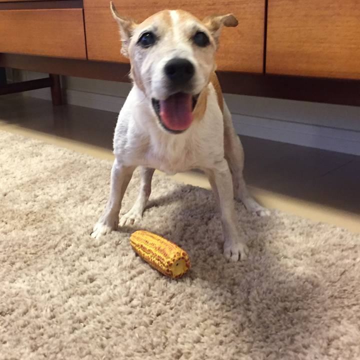 F1023224 5975 4408 b346 948b93d81fe2