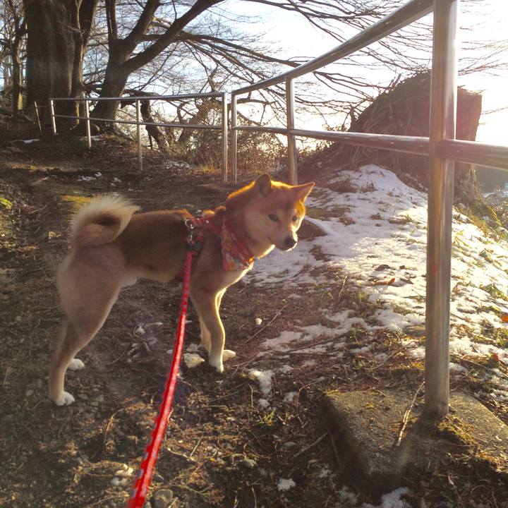 F102ae46 060d 41b3 8574 e772cdeca667