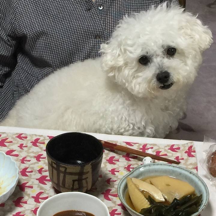 F1035dd5 ad55 4e41 918d 3076b1411120