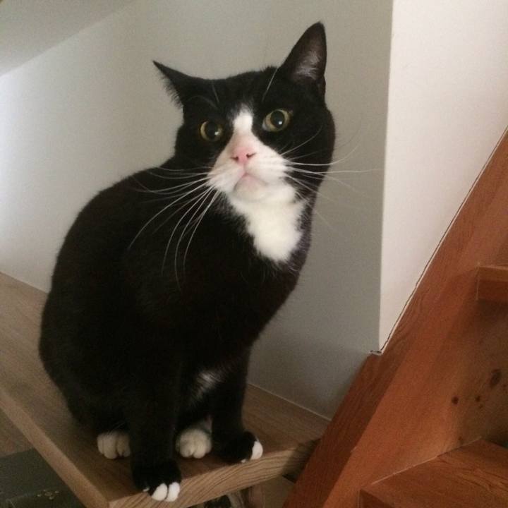 F104031b d8d8 48c5 9657 c98b9bccb423