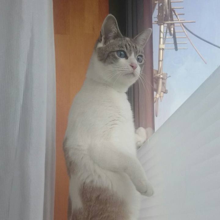 F10675e4 e092 4da0 9c3d a8de45542037