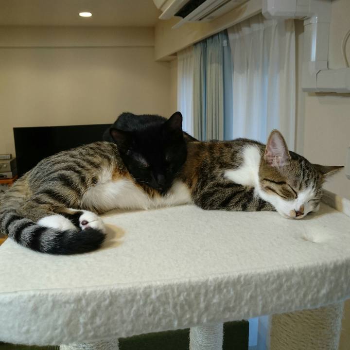 F106ed94 8919 49d2 a1d0 5c51ee44364e