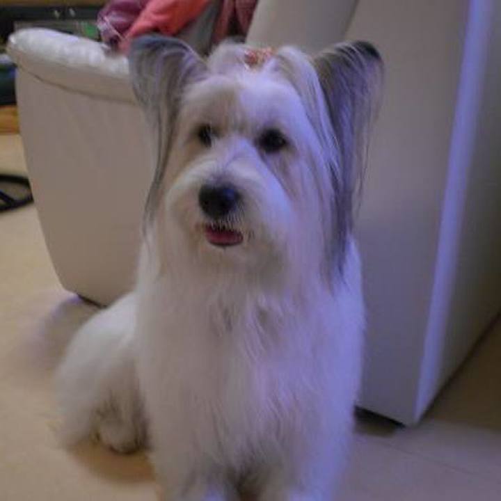 F106fcad 9ab7 405f 9c82 0a29747fc31c