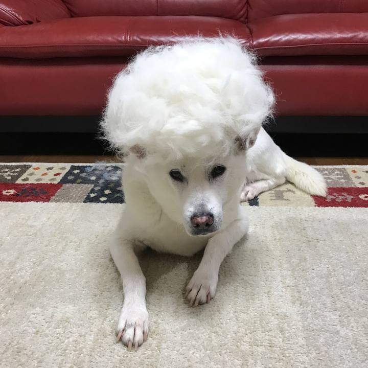 F10780b9 626c 4bca 908b 7e4a009940ae