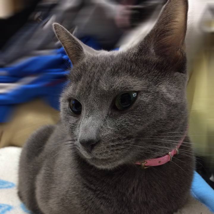 F1079342 09da 4434 a956 93a3445a980c