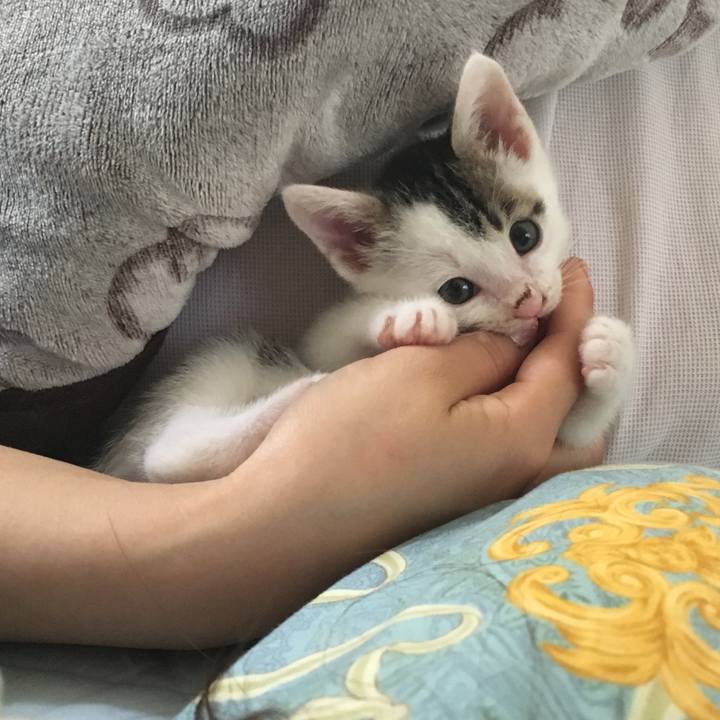 F107952d e45d 400f a83f 8b08b9a4f165