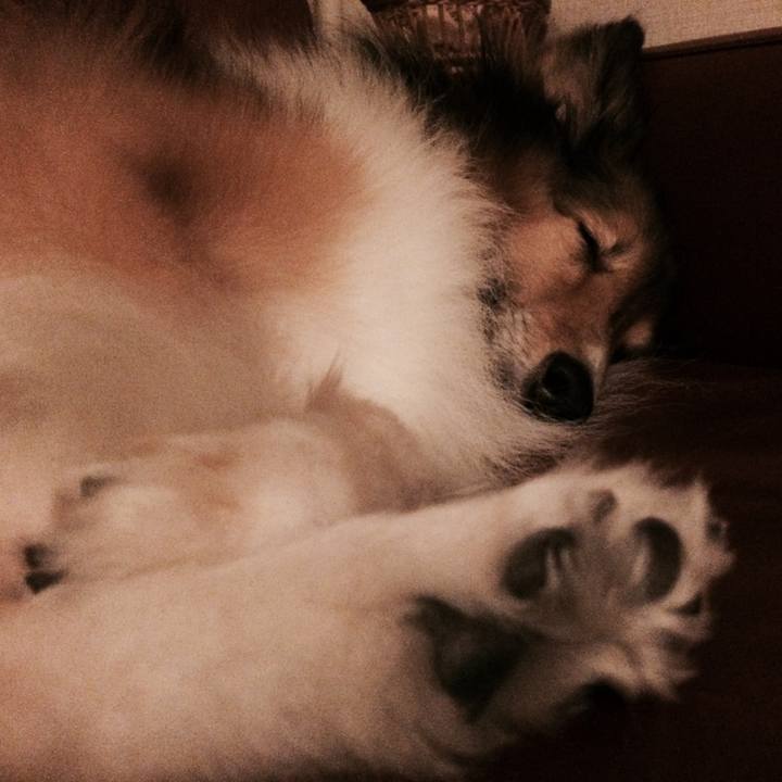 F108043b 8384 475f b594 59e72da730ef